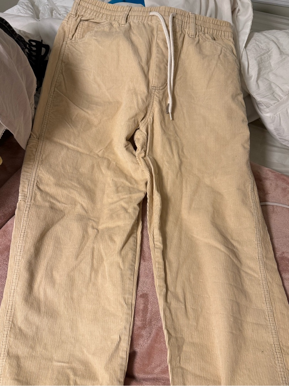 BDG Beige Corduroy Drawstring Waist Pants - Picture 6 of 10